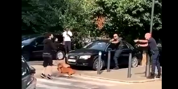 Fransa'da ağızlıksız sokağa çıkartılan sahipli köpek polis ekipleri tarafından vurularak etkisiz hale getirildi