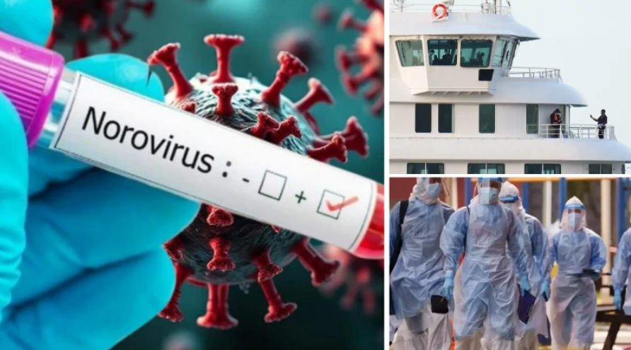 Fransa’da Hantavirüs sonrası Norovirüs alarmı: Bin 700’den fazla kişi karantinada