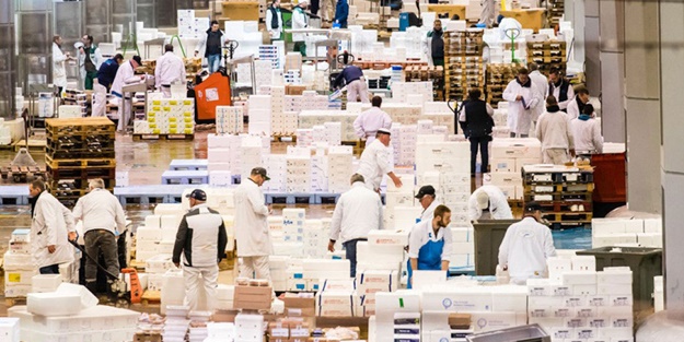 Fransa'da kan donduran manzara! Sebze halleri morg yapılıyor