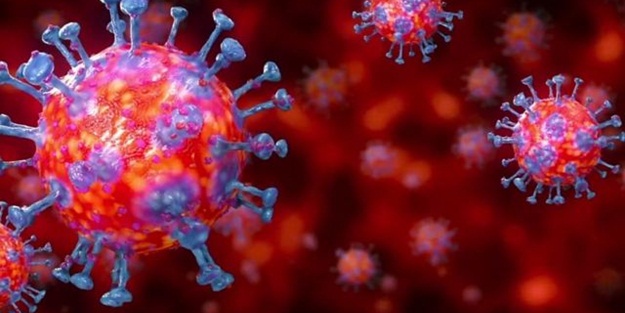 Fransa'da son 24 saatte 8 bin 822 koronavirüs vakası