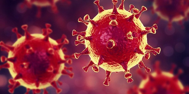 Fransa'dan 'mutasyon' kararı