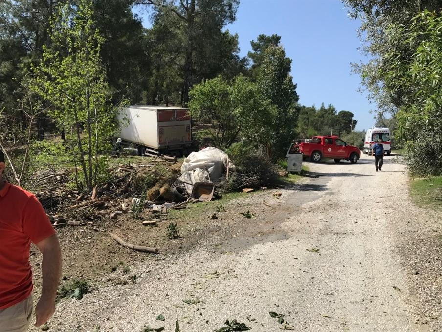 Freni boşalan kamyon ormana daldı 