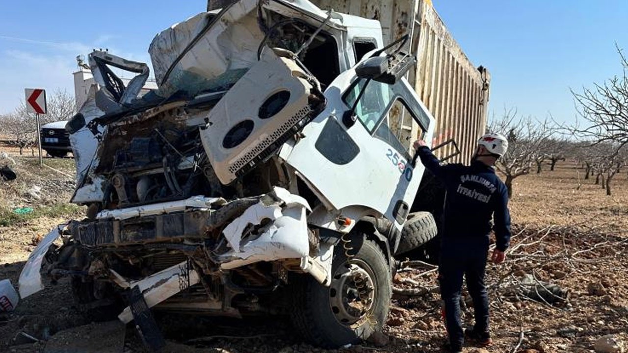 Freni patlayan kamyon fıstık bahçesine daldı