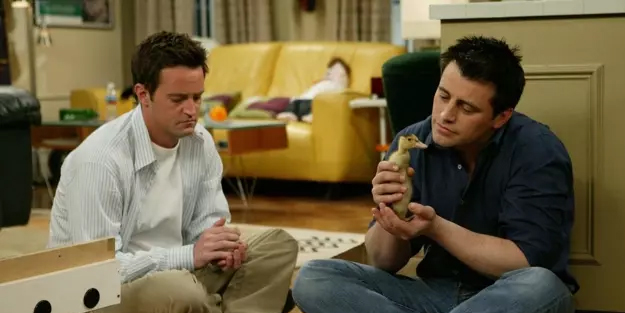 Friends isimli televizyon dizisinin çöpte bulunan senaryoları açık artırmaya çıkıyor, müzayedede satılacak