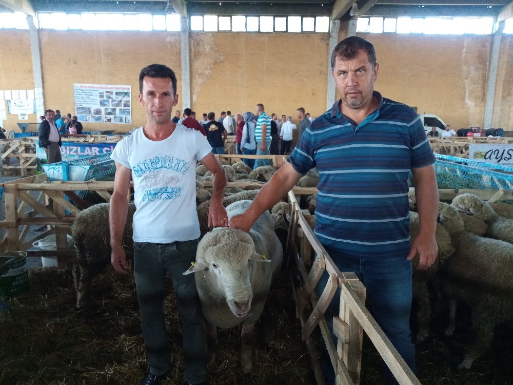 Fuarın yıldızı Karacabey Merinosları oldu 