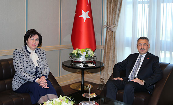 Fuat Oktay, Danıştay Başkanı Güngör'ü kabul etti