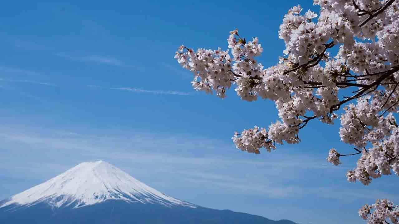 Fuji festivali iptal: Turist akını çevreyi vurdu