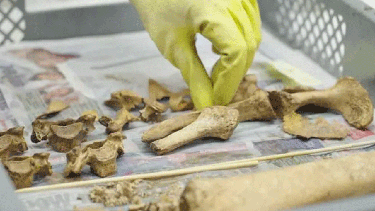 Futbol sahasının altından çıktı: Tam 129 erkek kemiği bulundu!