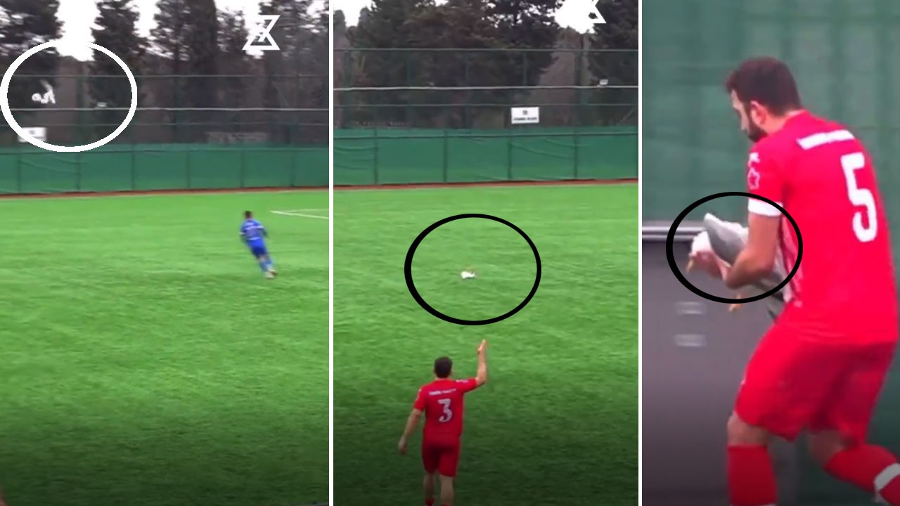 Futbolcunun şutu havada uçan martıyı düşürdü! Kalp masajıyla hayata döndü