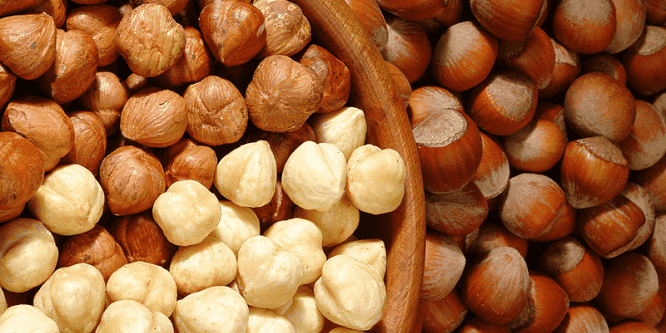 Üreticinin yüzü güldü