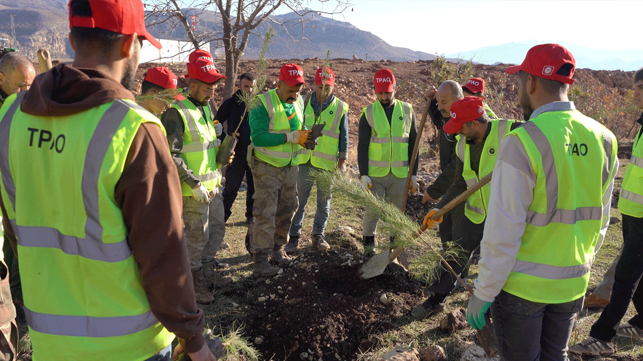 Gabar Dağı'nda traktör takla attı: Fidan diken 5’i ağır 13 işçi yaralandı