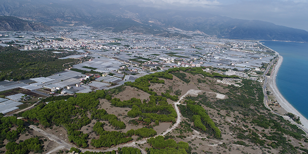 Gabar'dan petrol fışkırırken Türkiye'den beklenmedik hamle! Hiç hesapta olmayan bölgeye petrol için gidildi
