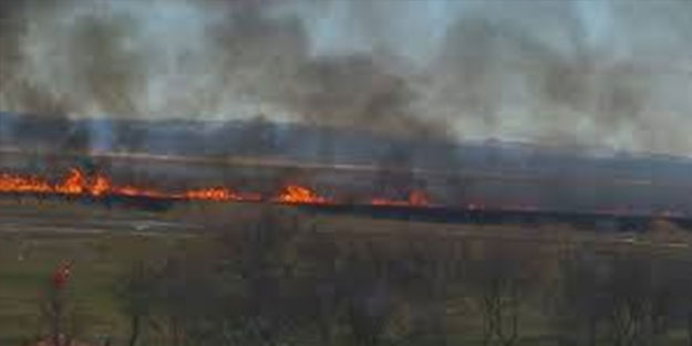 Gala Gölü Milli Parkı alevlere teslim oldu