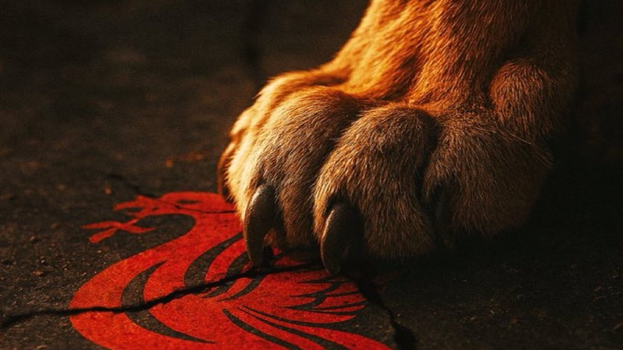 Galatasaray sadece Liverpool'u değil 'fark yersiniz' diyenleri de rezil etti!