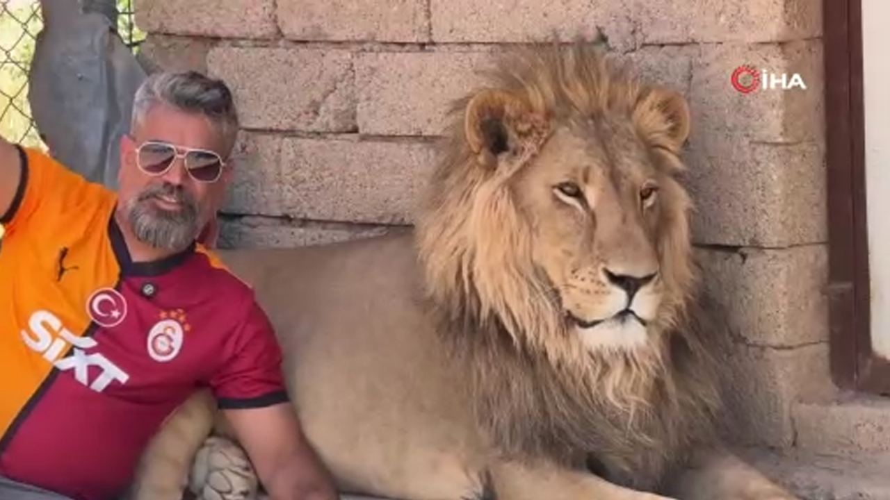 Galatasaraylı vatandaş, şampiyonluğu aslanlarıyla kutladı!