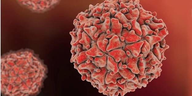 Gambiya'da poliovirüs tespit edildi