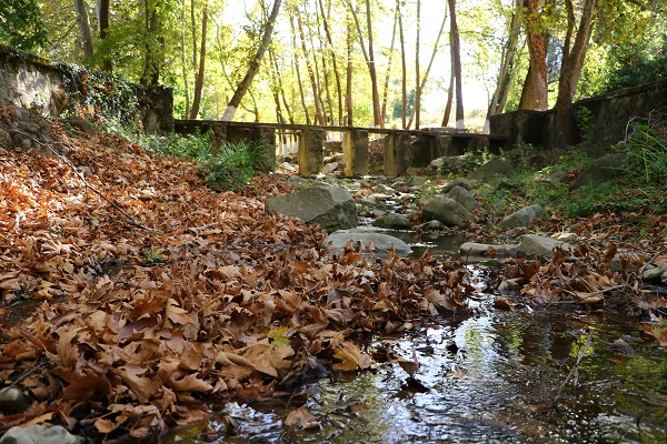 Ganos'un etekleri sonbahar renkleri