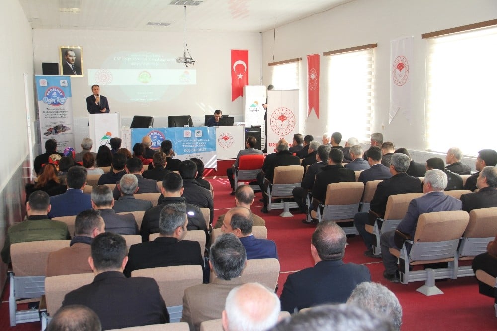 GAP Bölge Kalkınma İdaresi proje tanıtım toplantısı gerçekleştirdi 
