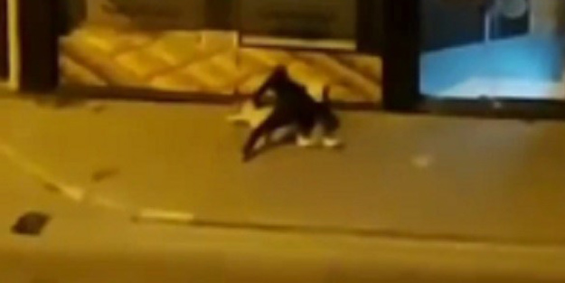 Gayrimeşru ilişkide rezalet içinde rezalet! Hem kadına şiddet hem de yok şikayet