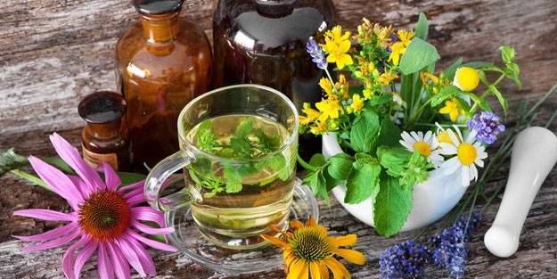 Gaz sorununa iyi gelen 9 doğal çay