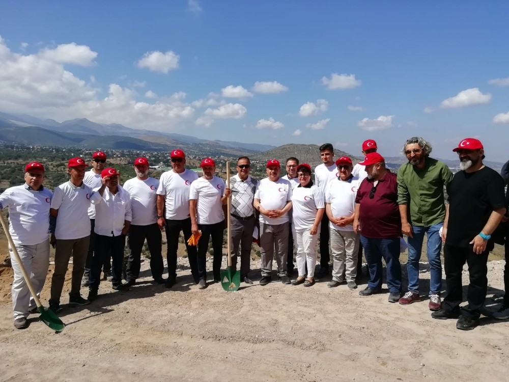 Gazeteciler ağaç dikti 