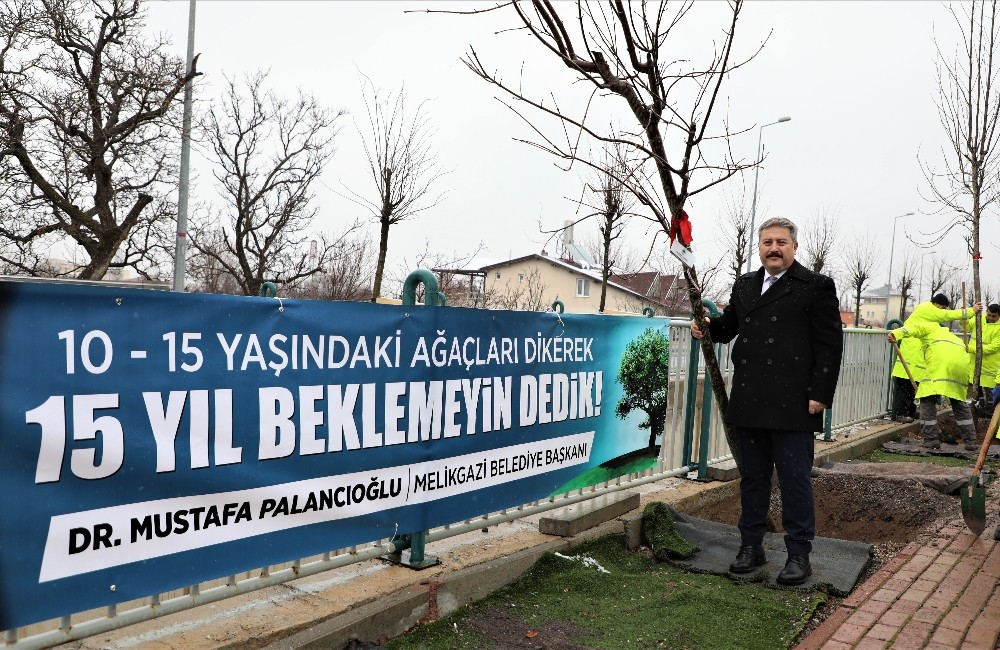 Gazetecilere özel ağaç dikimi yapılacak 