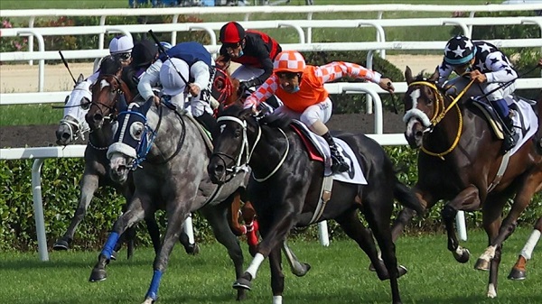 Gazi Koşusu ne zaman saat kaçta? Gazi Koşusu hangi kanalda?