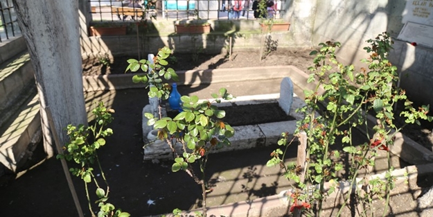 Gazi Timurtaş Paşa Türbesi