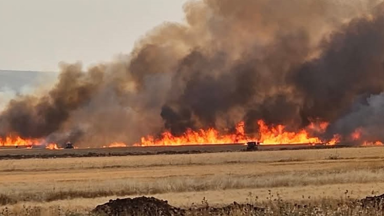 Gaziantep Araban Ovası’nda yangın felaketi