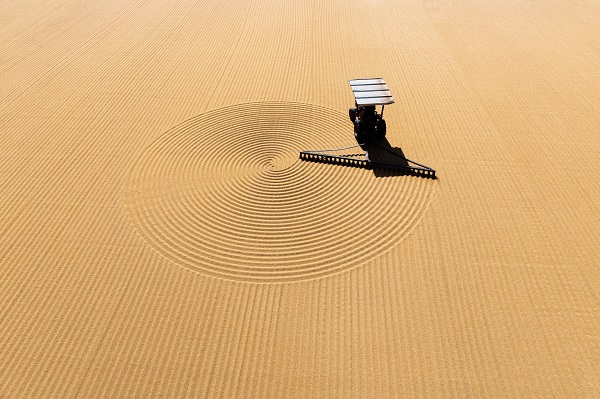 Gaziantep bakın neden sarıya boyandı!