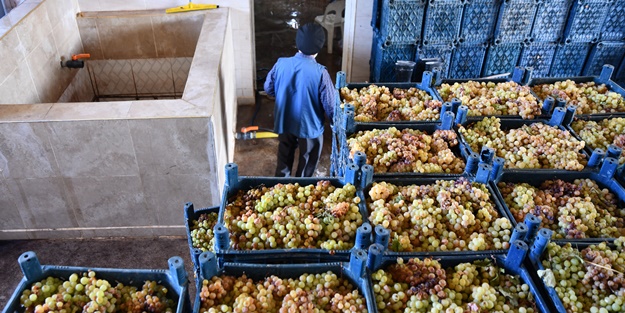 Gaziantep'in üzümleri cevizli sucuğa dönüşüyor!