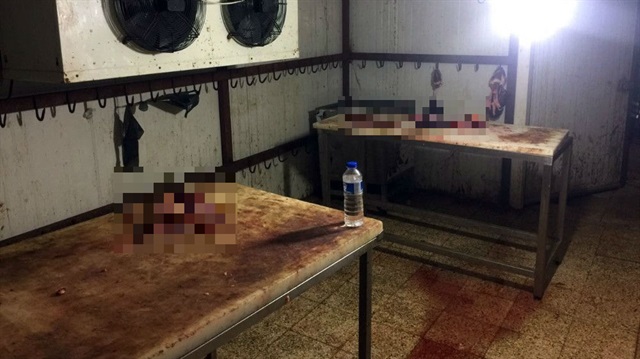 O ilimizde 3.5 ton at ve eşek eti ele geçirildi