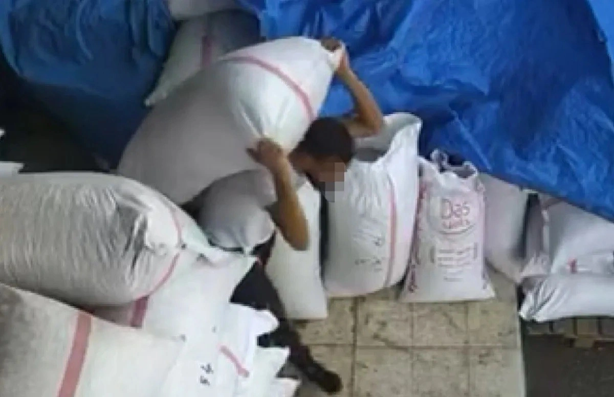 Gaziantep'te 450 bin TL'lik Antep fıstığı çalan hırsız kameraya yansıdı