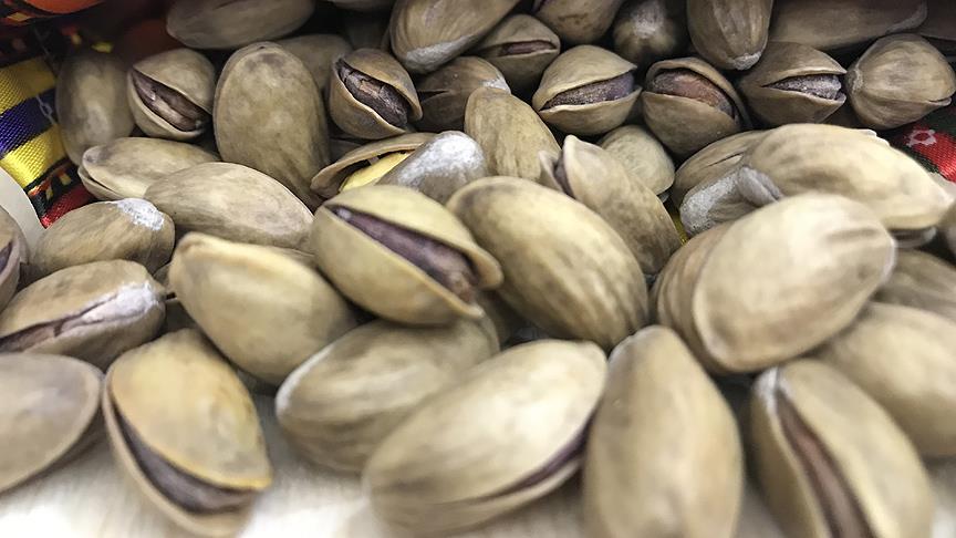 Gaziantep'te Antep fıstığı lisanslı deposuna kavuşacak