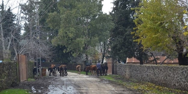 Gaziantep'te bir mahalle 6 ay süreyle karantinaya alındı!