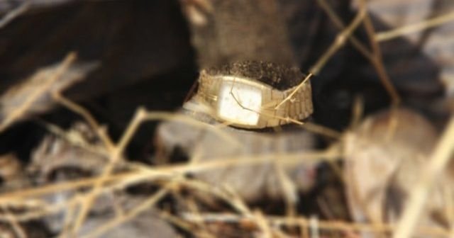 Gaziantep'te boş arazide çürümüş ceset bulundu