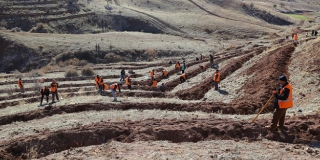 Gaziantep'te büyük doğa projesi