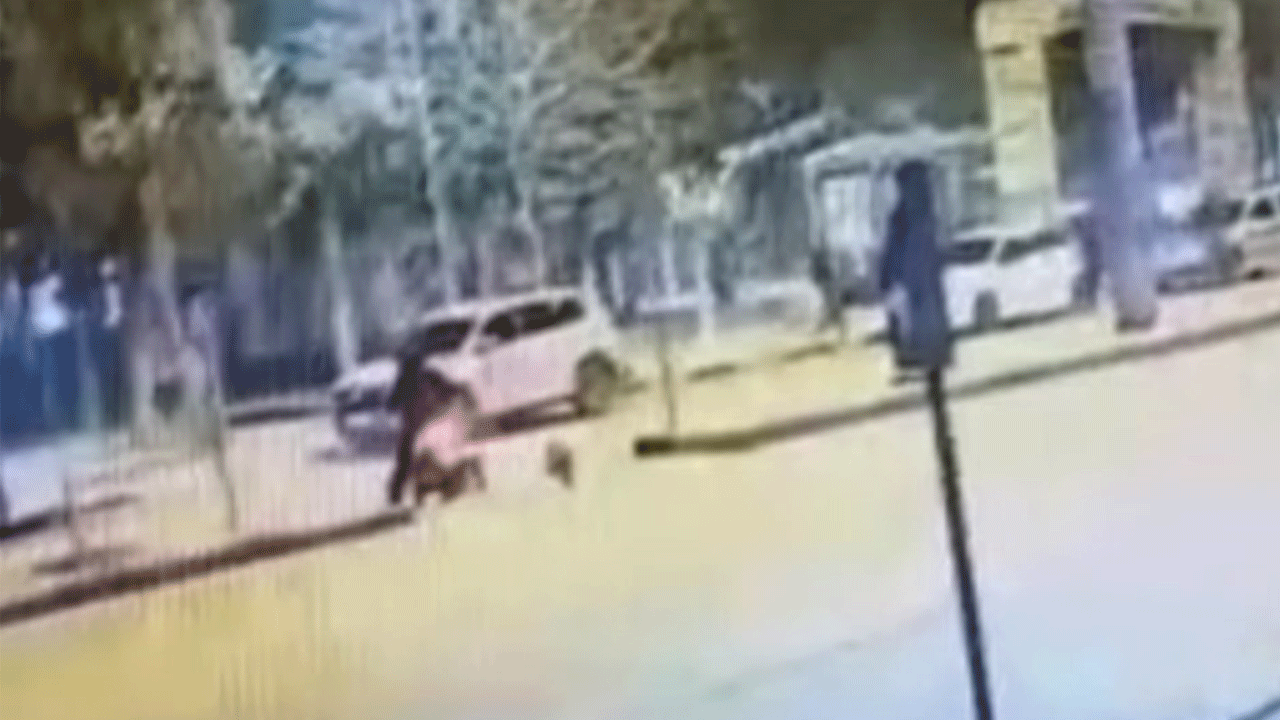 Gaziantep'te korkutan kaza! Sokak köpeklerinden kaçarken araba çarptı!