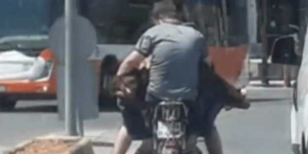 Gaziantep’te koyunu motora bindirdiler