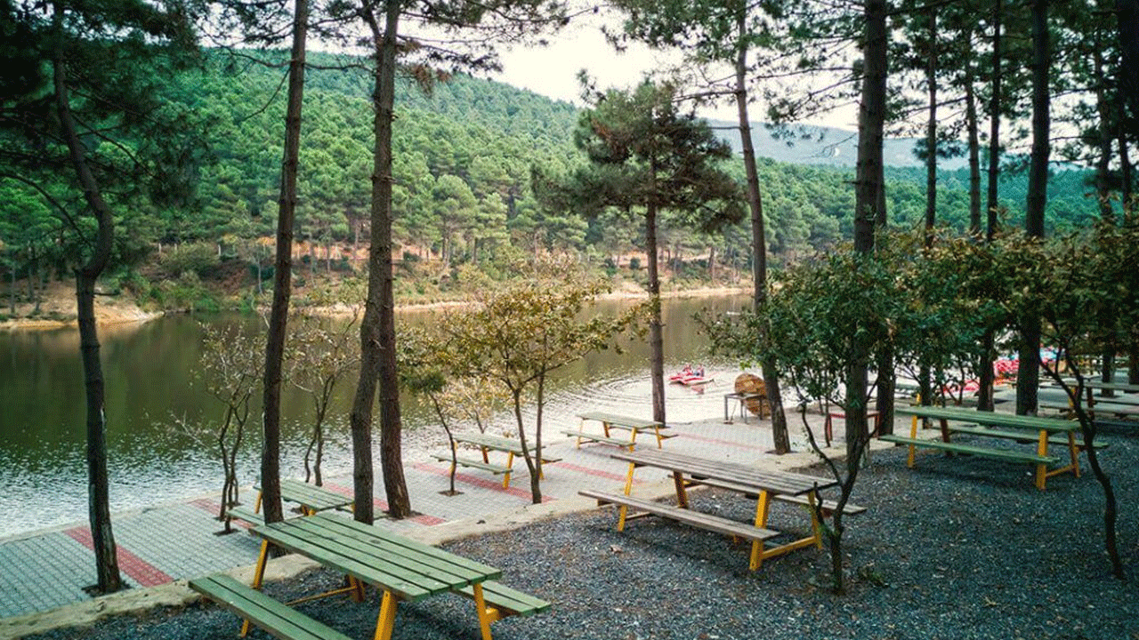 Gaziantep'te mangala yasak geldi! Ormanlara girişler de durduruldu