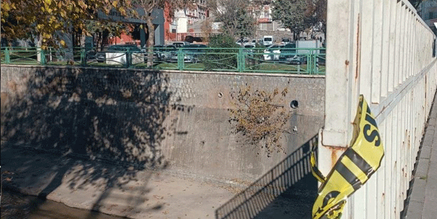 Gaziantep'te rezalet! Bunları beslemeyin idam edin