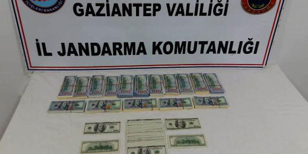 Gaziantep'te sahte dolar operasyonu! 5 Suriyeli gözaltında