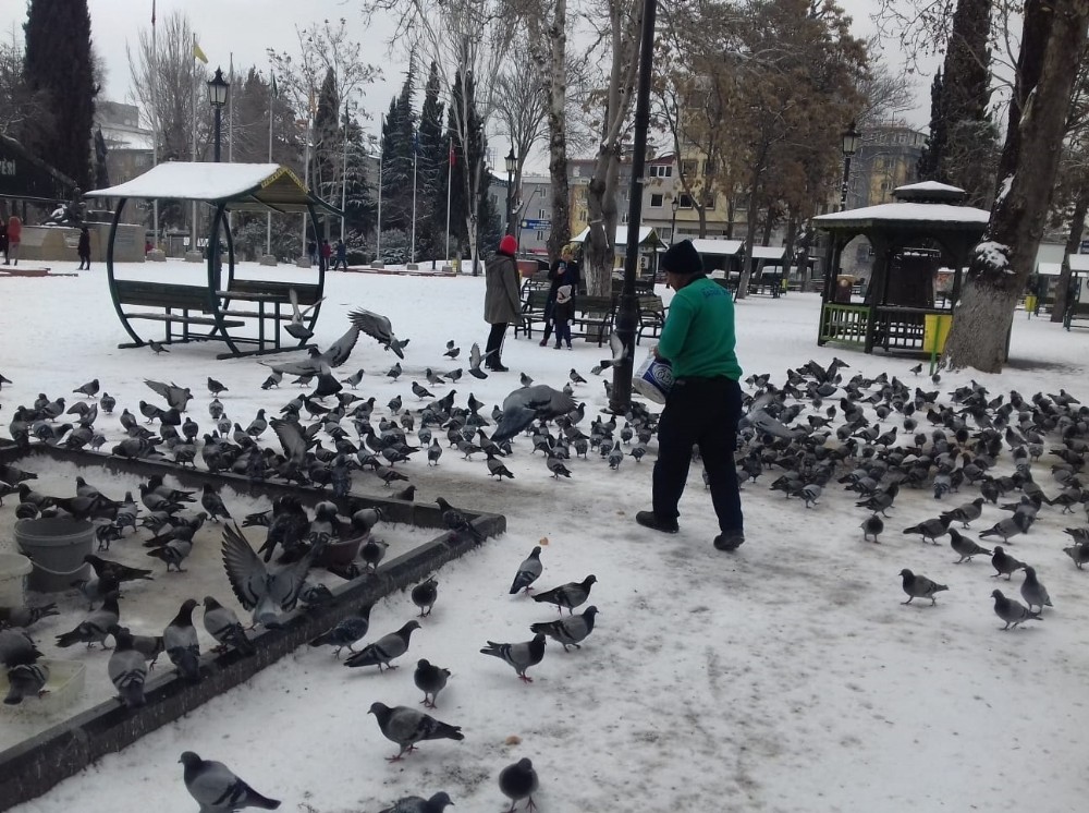 Gaziantep’te sokak hayvanlarını unutulmadı 