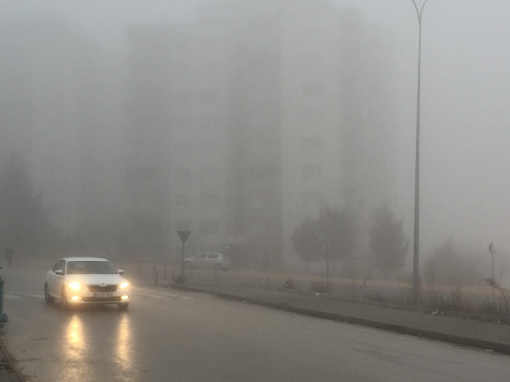 Gaziantep’te yoğun sis 