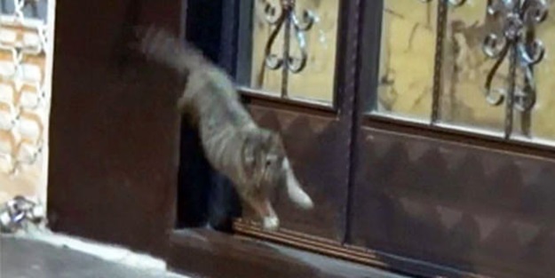 Gaziantep'teki şüpheli paket en çok onu korkuttu