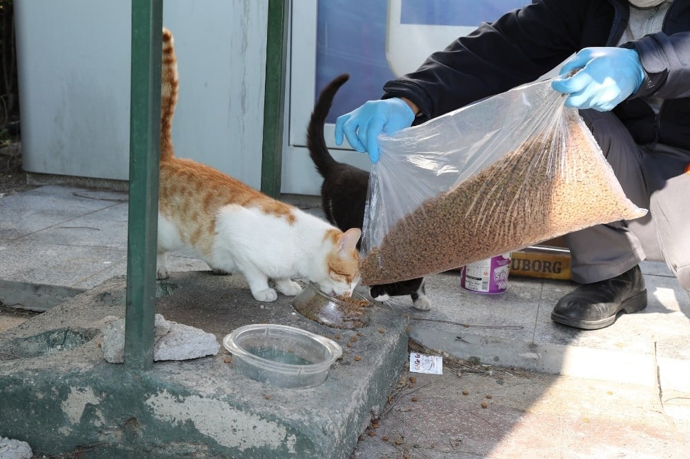 Gaziemir’de can dostlara mama ve su desteği 
