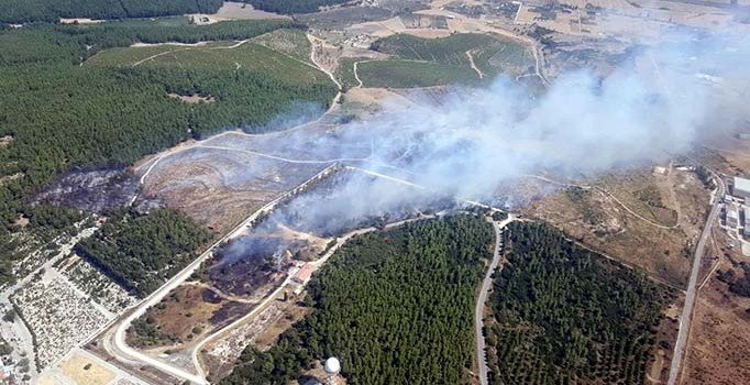 Gaziemir'de orman yangını çıktı