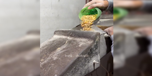 Gazze'de ekmek üretmek için hayvan yemleri öğütülüyor!