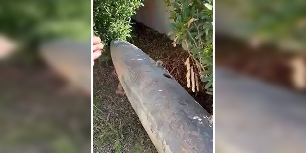 Gazze'de patlamadan düşen 1 tonluk füze zulmü gözler önüne serdi!