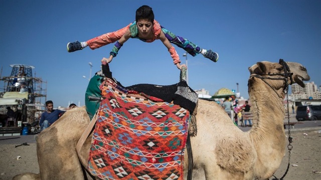 Gazzeli örümcek Muhammed el-Sheikh Guinnes'e aday